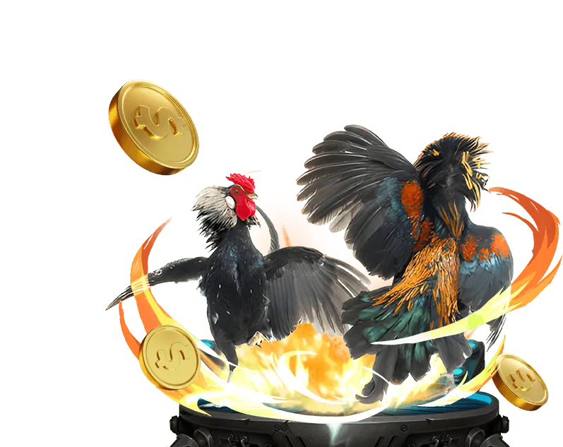 Hướng dẫn cá cược thể thao 58win1