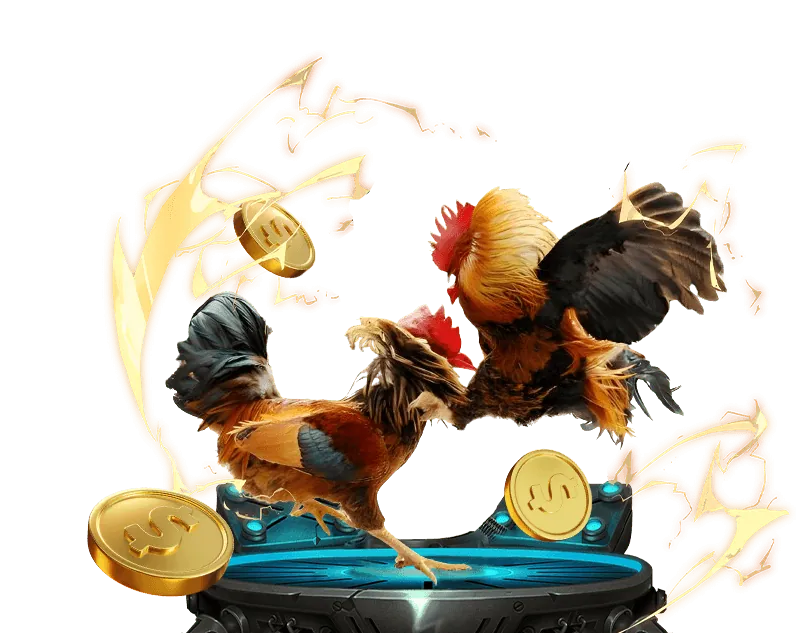 Hình ảnh minh họa bảo mật dữ liệu và mã hóa thông tin tại casino 58win1